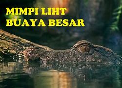 Apa Arti Dari Mimpi Melihat Buaya Hitam